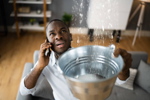 Best Emergency water damage restoration  in Grant, MN