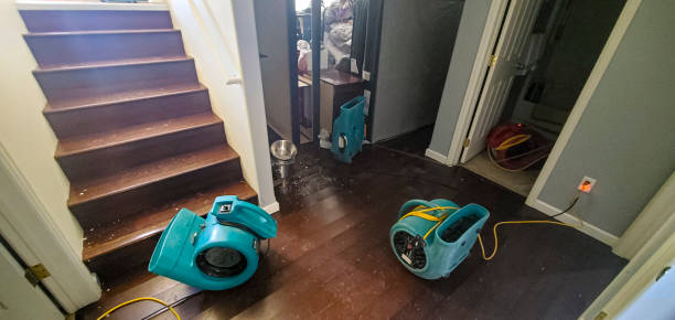Best Water damage contractors near me  in Grant, MN