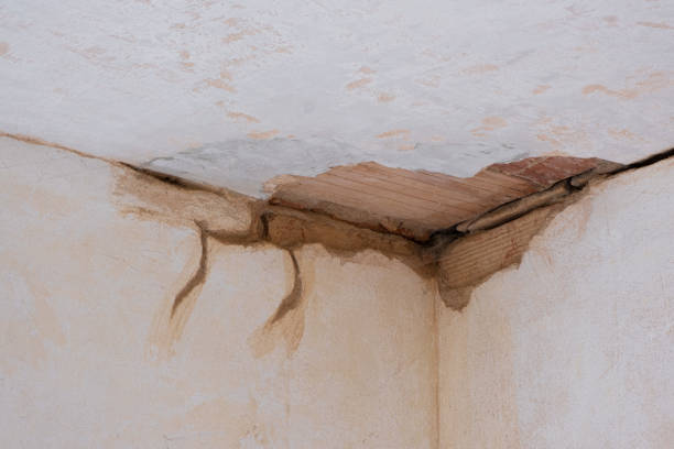  Grant, MN Water damage restoration Pros