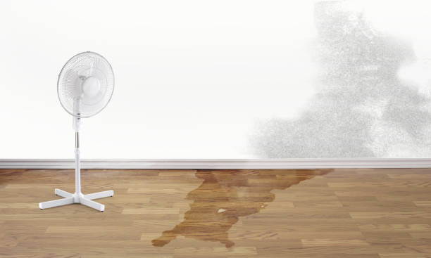 Local water damage restoration in MN