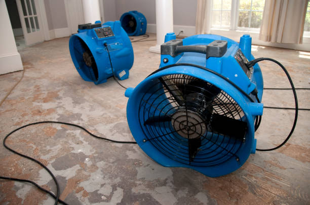 Best Water damage cleanup near me  in Grant, MN
