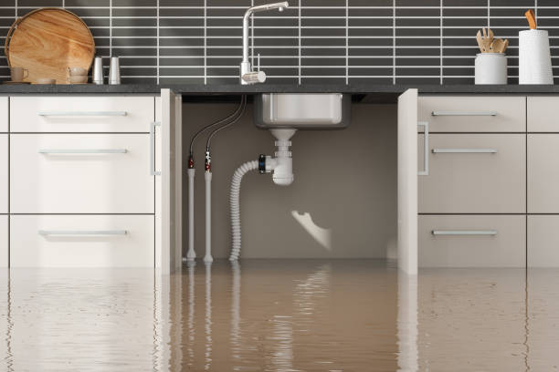 Best Carpet water damage restoration  in Grant, MN