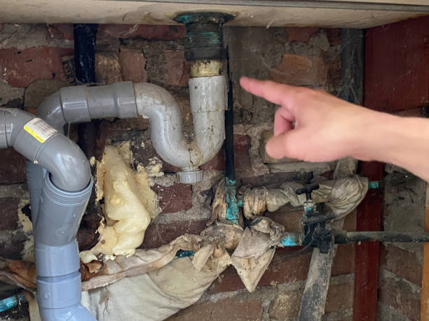Best Residential water damage restoration  in Grant, MN