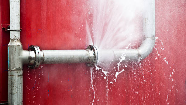 Best Flooded house restoration  in Grant, MN